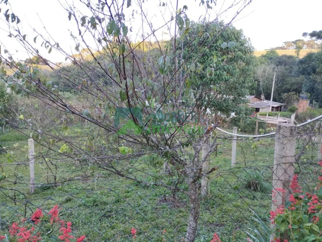 Terreno Lote - Foto 3