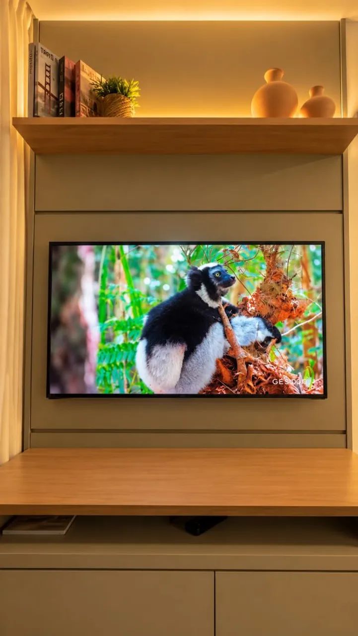 Tv de Led 49 polegadas + Suporte articulado 