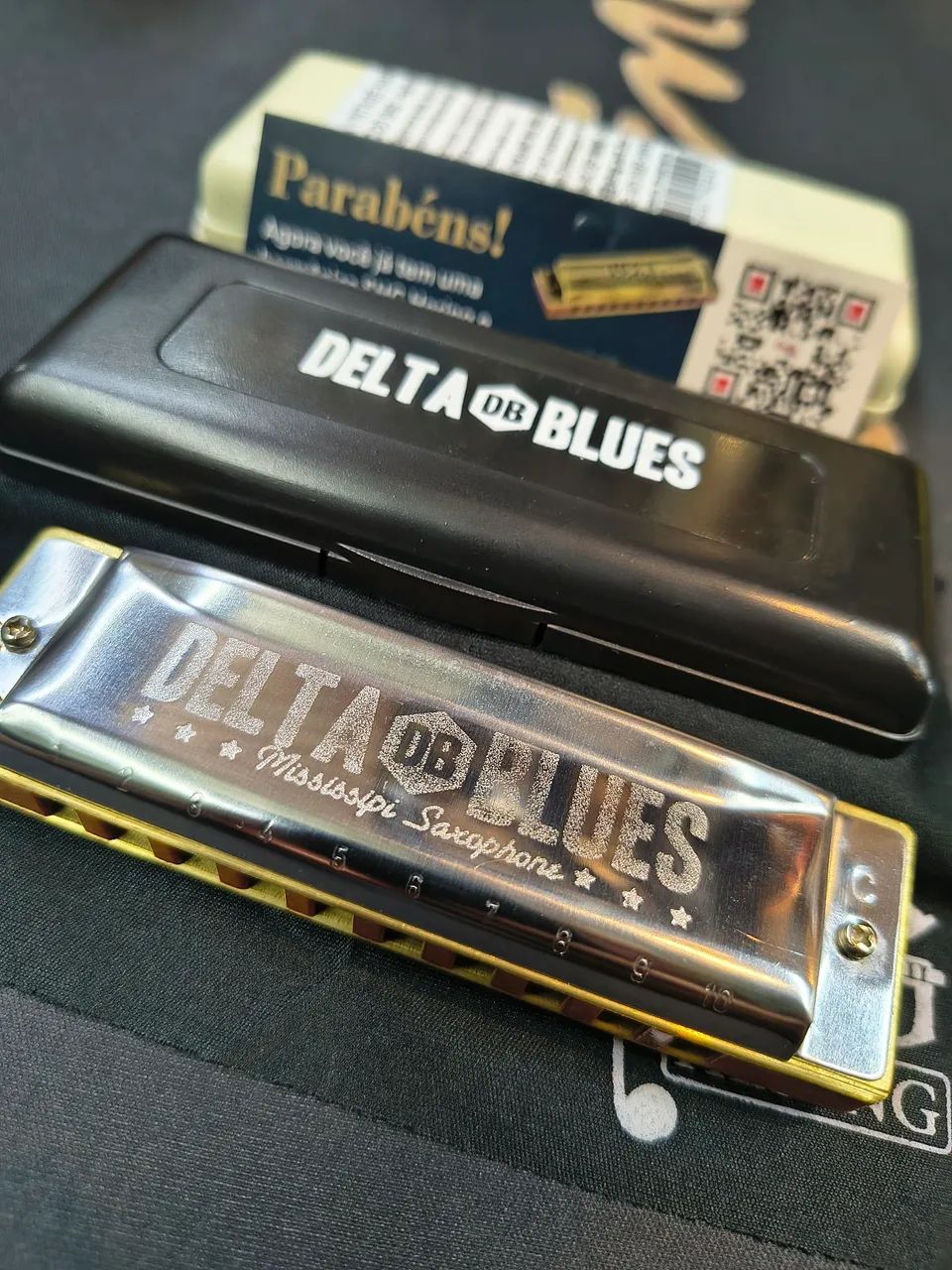 Gaita Hering delta blues 10 vozes com estojo compre o instrumento mais top do brasil