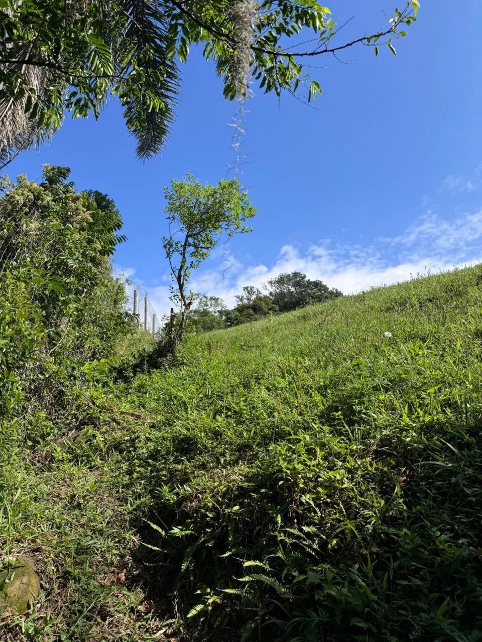 TERRENO À BEIRA DA LAGOA DE IMARUÍ ? CANGUERÍ DE FORA - Foto 4