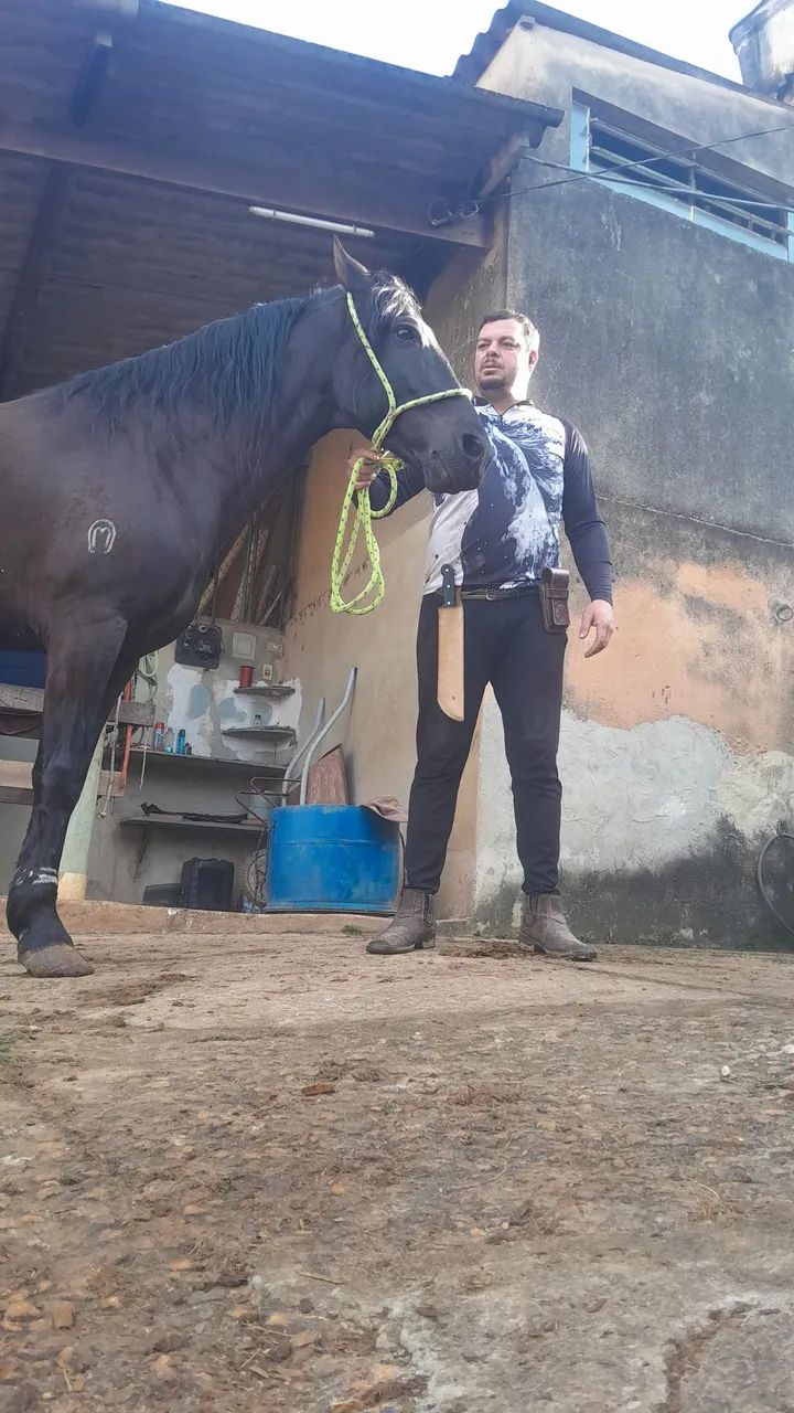 Caseiro com experiência  - Foto 2