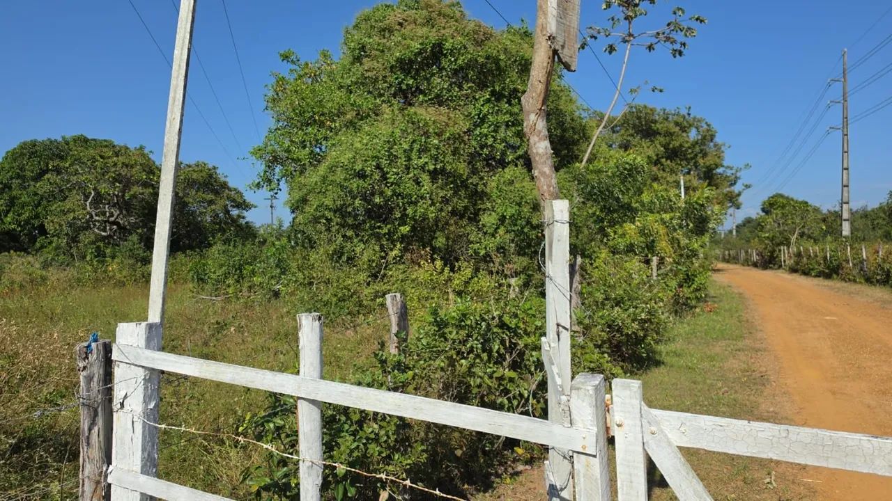 Terreno Grande no Jenipapeiro - Foto 2
