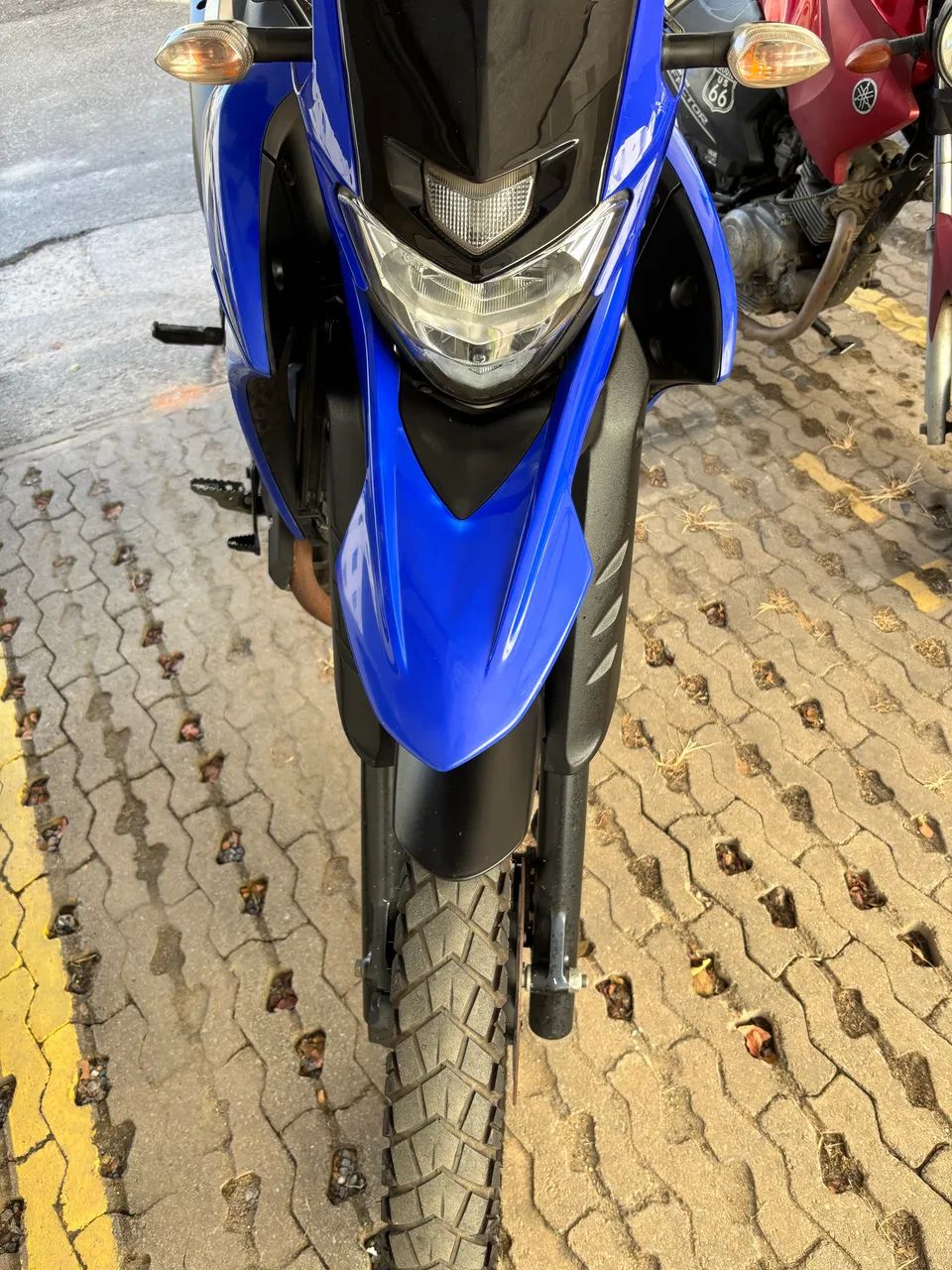 Lander 2022 - Foto 4