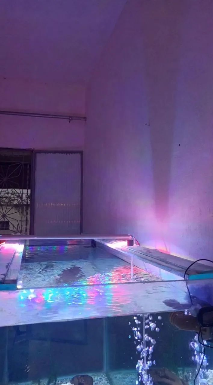 Aquário  - Foto 2