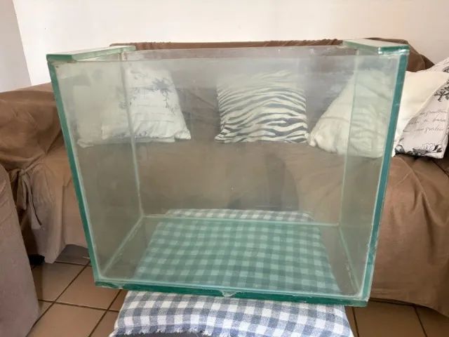 Aquario - Foto 4