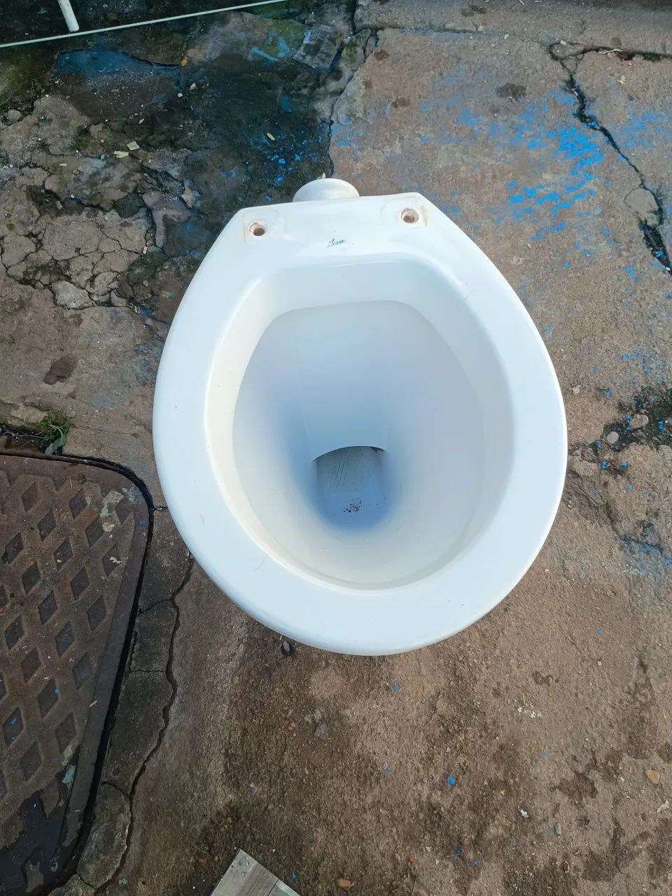 Toilet Bowl
