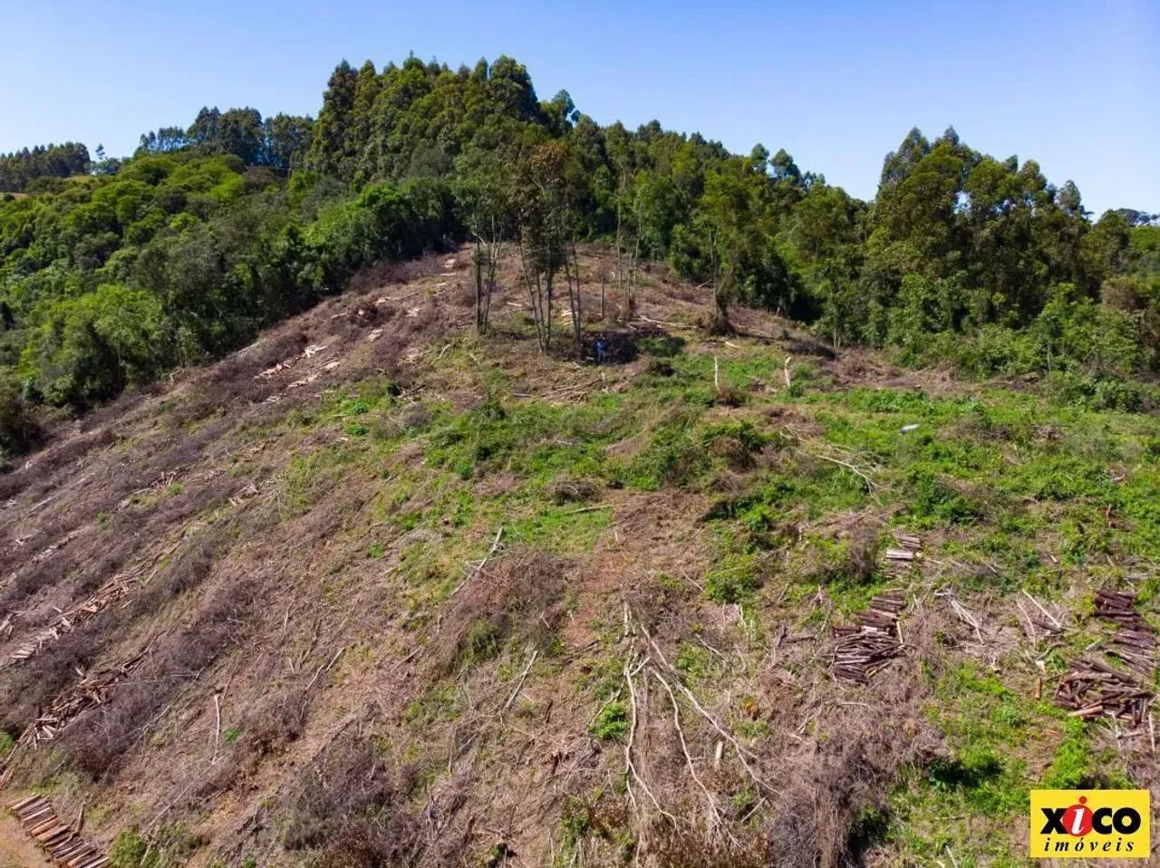 Sítio / Chácara para Venda em Nova Petrópolis, São Jacó - Foto 6