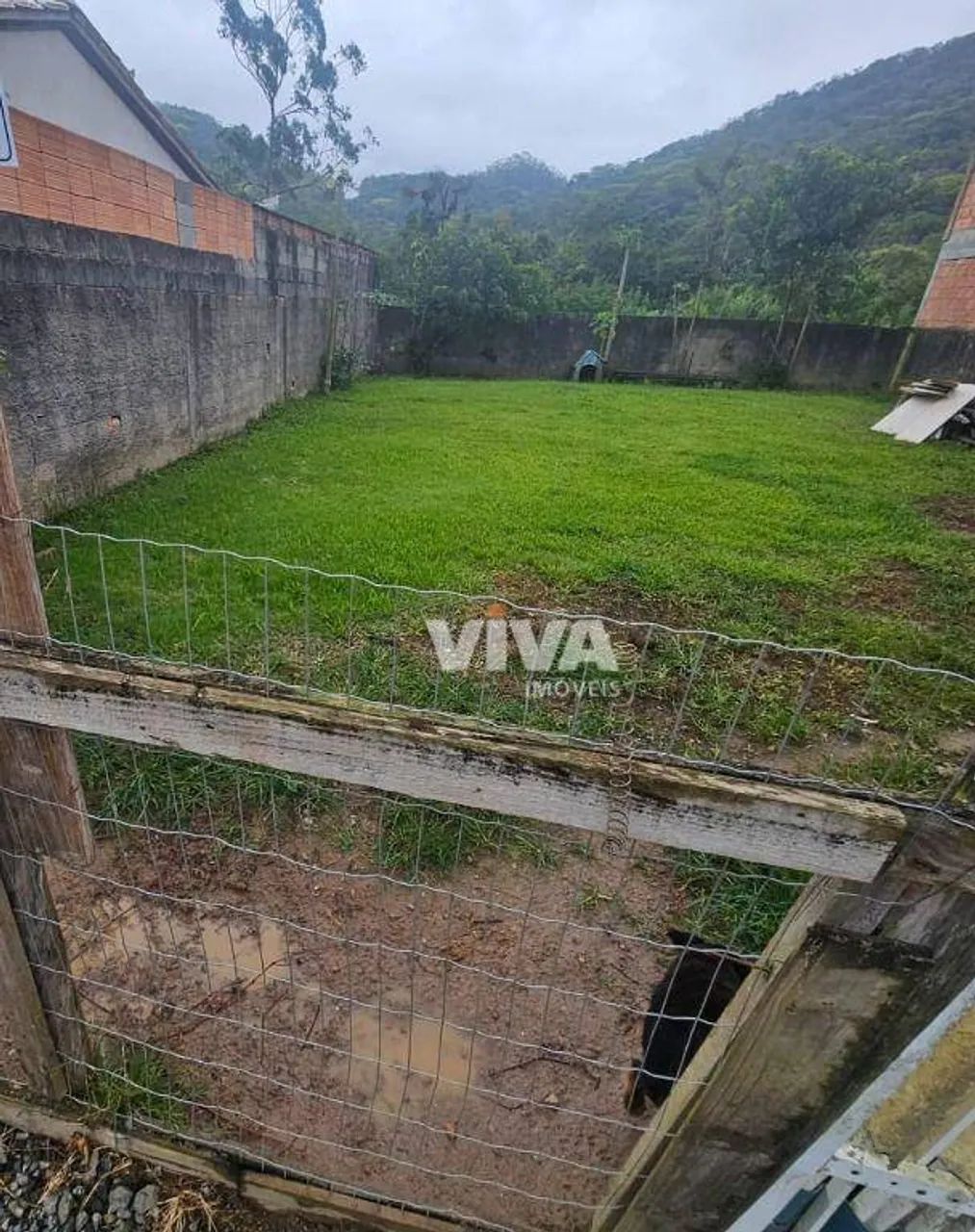 Espinheiros - Terreno - Foto 5