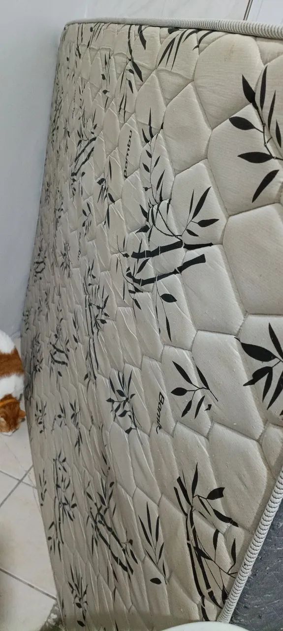 Vendo colchão para coluna bem conservado colchão muito bom para dormir - Foto 2