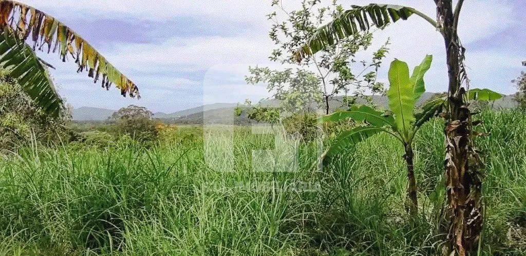 Terreno à venda no Sambaqui