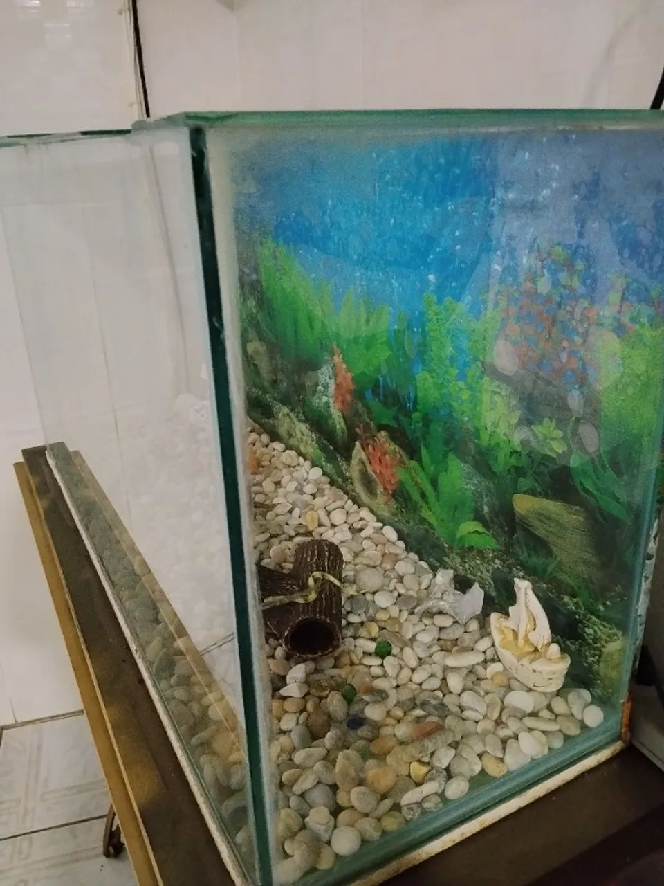 Aquário  - Foto 2