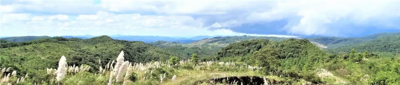 Fazenda em Rancho Queimado com 660 HA- Serra Catarinense - Foto 4
