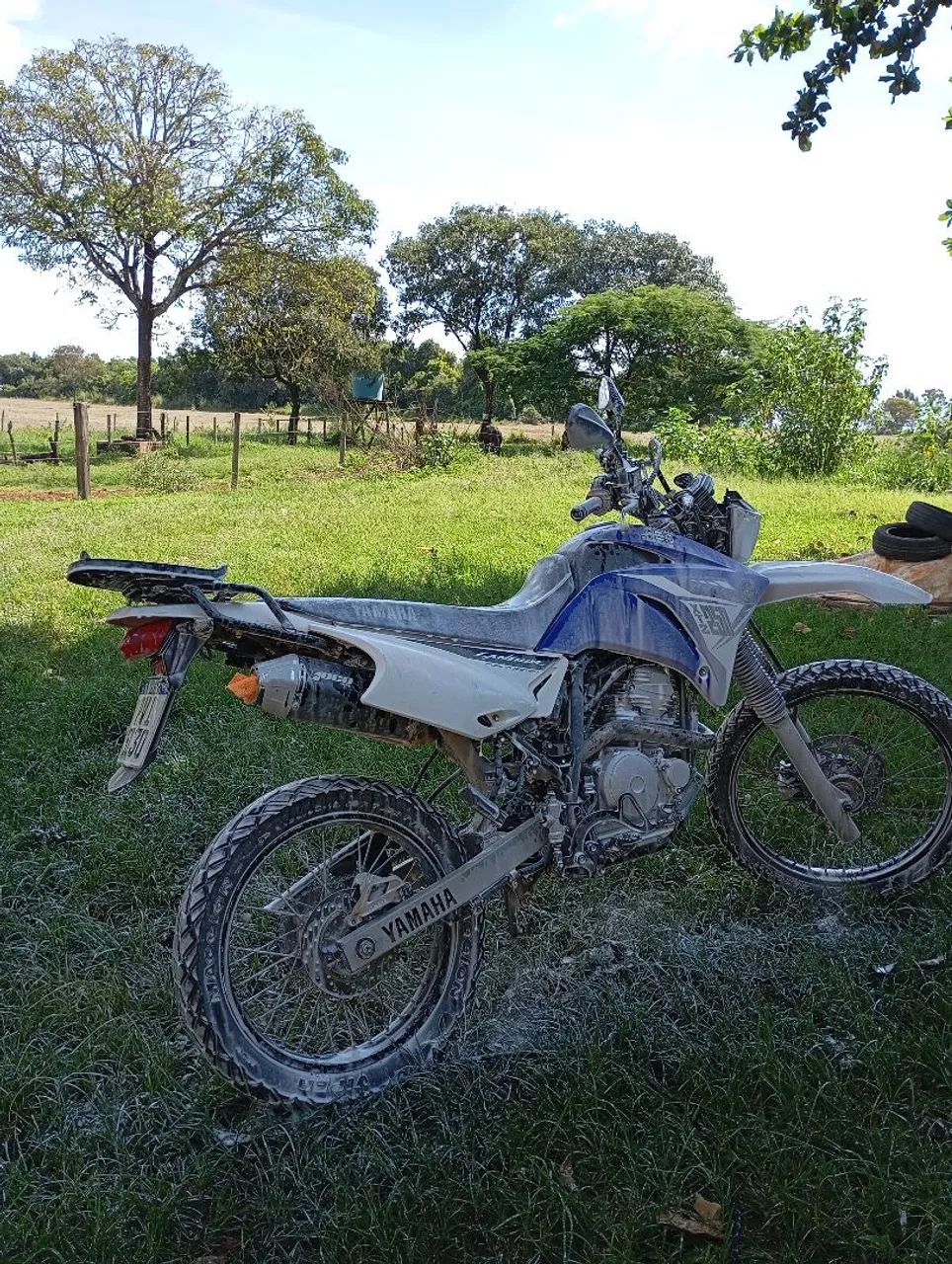 Lande 2014/15 - Foto 2