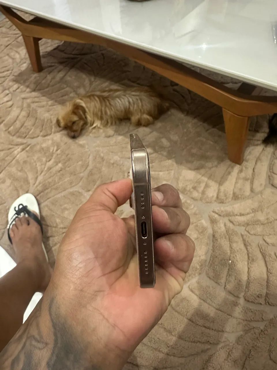 iphone 16 Pro Max 256 Gb 
