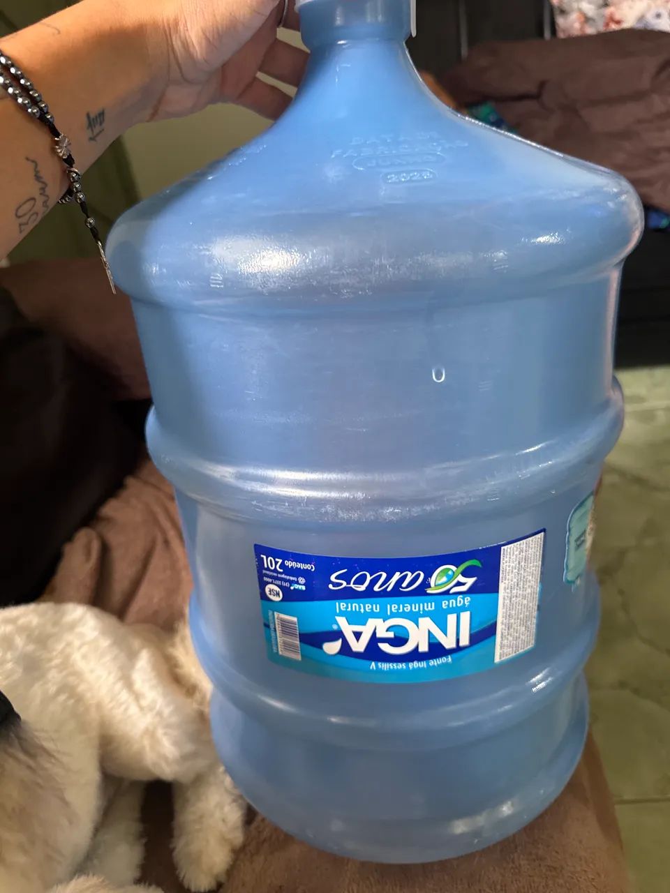 Galão 20 litros vazio 