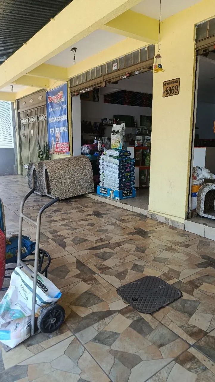 Pet shop a venda  - Foto 5