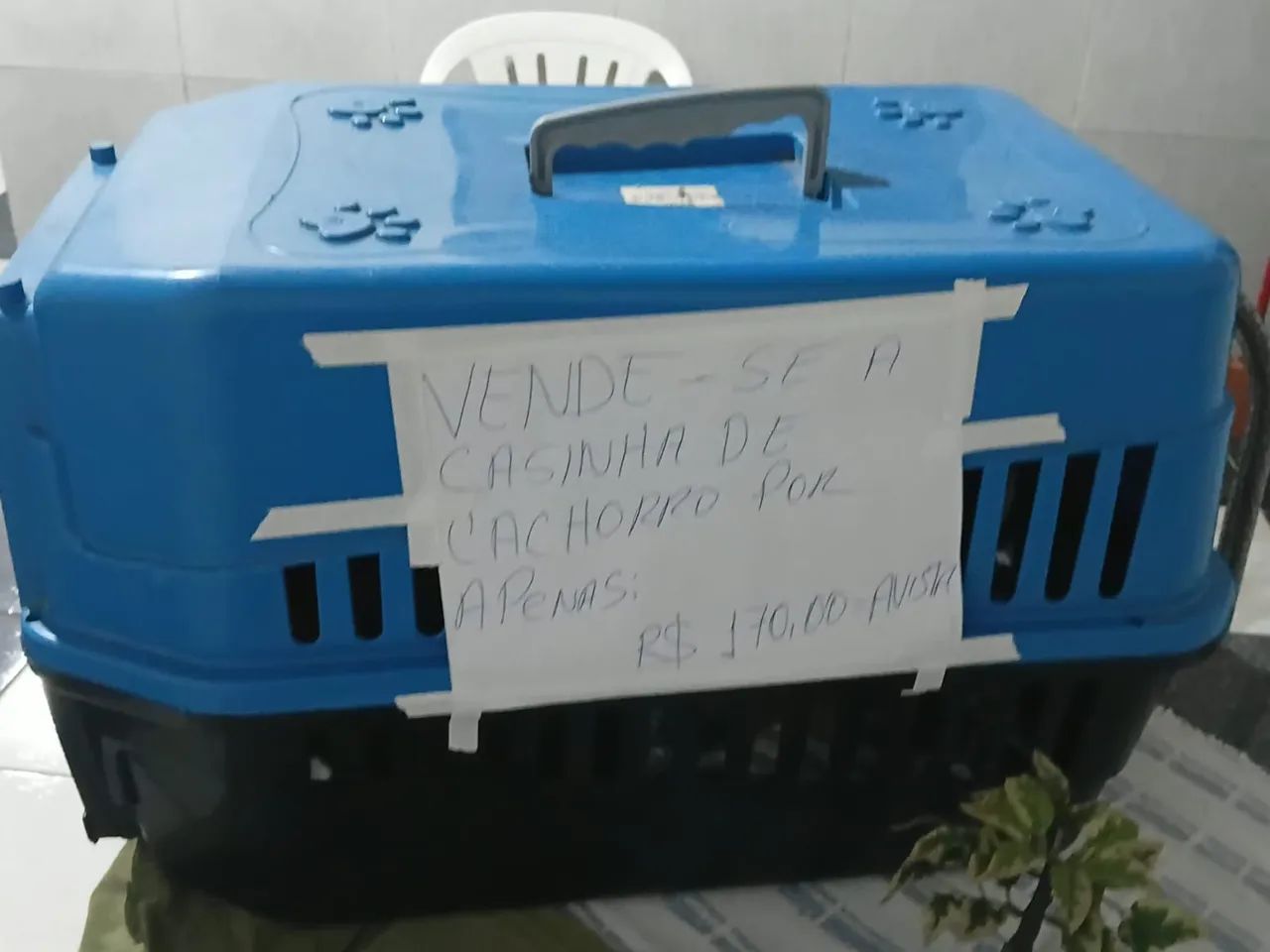 Caixa para trasporte de animais  - Foto 2