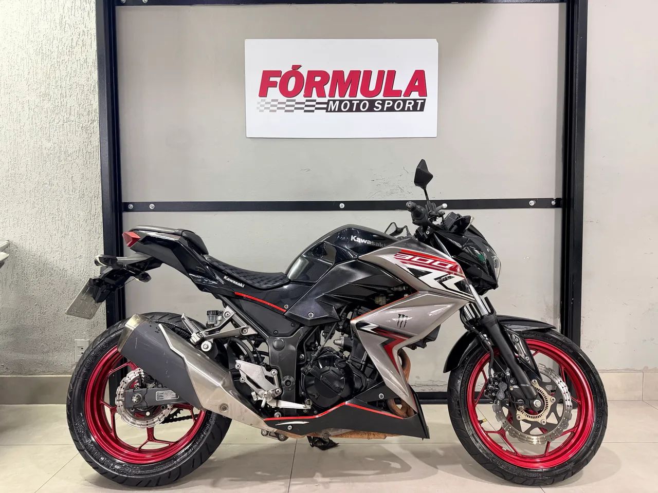 Z300 ABS 2019