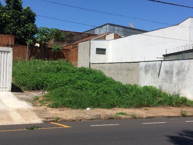 Excelente Terreno Comercial Av. Solon da Silva Varginha - Foto 3