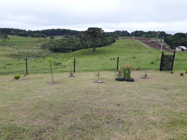 Vendo chacara no Juá RS - Foto 11