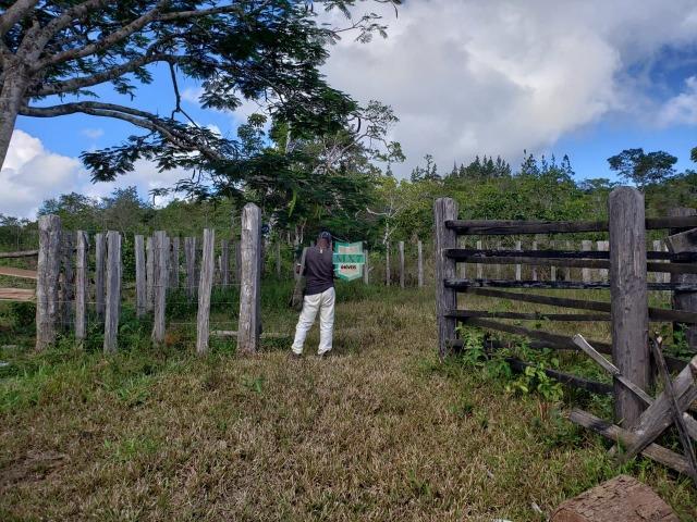 Ubaitaba. Fazenda de oportunidade. São 527 Hectares - Foto 10
