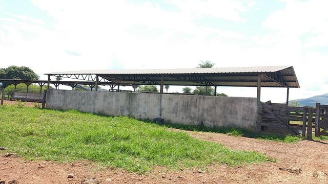 Fazenda Completa Para Gado, Formosa-Go (Oportunidade) - Foto 8