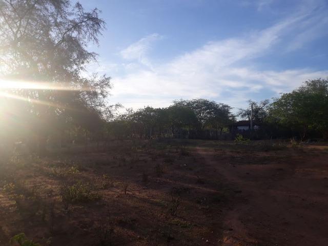 Ótima propriedade de 500 hectares, toda documentada,em Sertânia-PE, por apenas R$ 500 mil - Foto 6