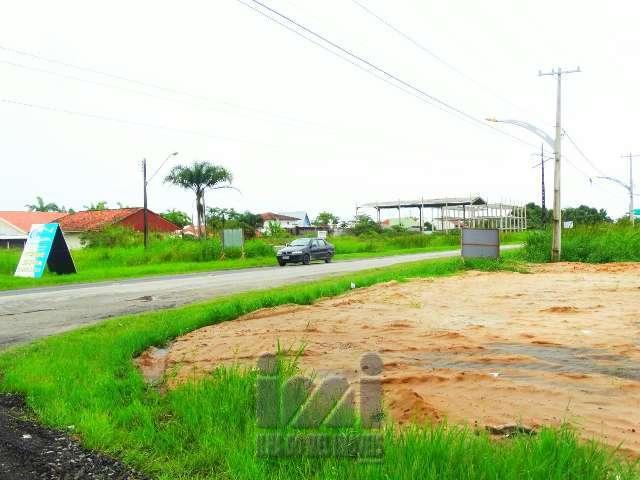 TERRENO COMERCIAL - Foto 3