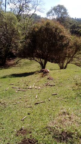 Sítio a venda - Foto 18