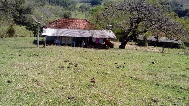Sítio a venda - Foto 8