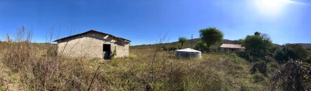 Sitio a venda em Quixadá - Foto 7
