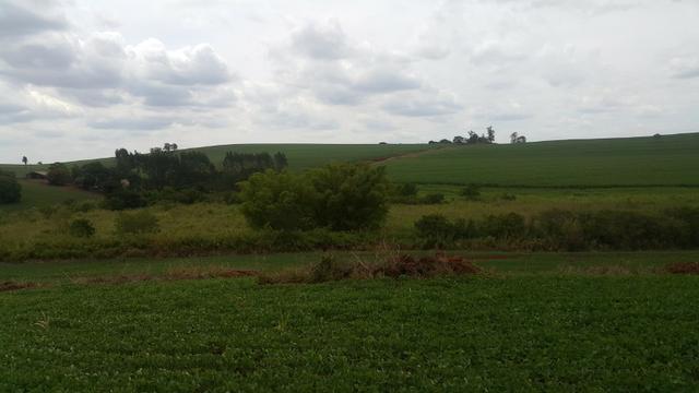 Terra rocha boa p/plantios agricola e criame de peixe etc - Foto 7