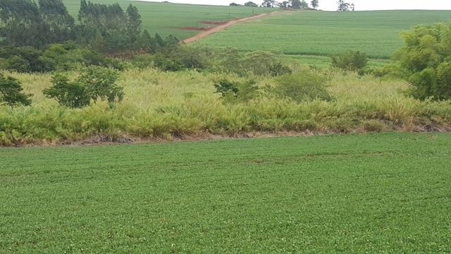 Terra rocha boa p/plantios agricola e criame de peixe etc - Foto 2