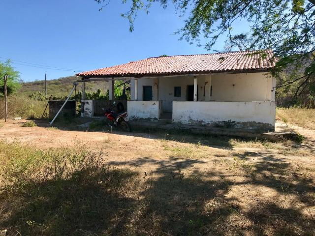 Sitio a venda em Quixadá - Foto 3