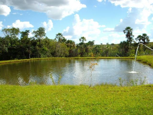 Fazenda de 12,68 alqueires maravilhosa em bela vista de goias - Foto 8