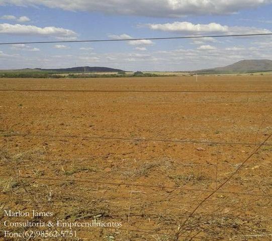 Fazenda em Dois Irmãos! - Foto 3