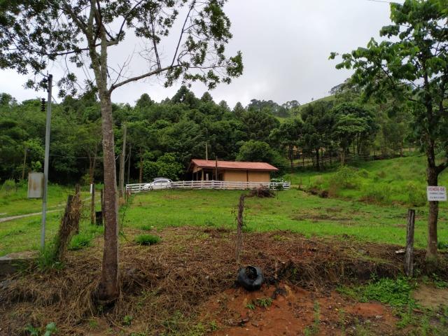 Vendo Terreno - Foto 4
