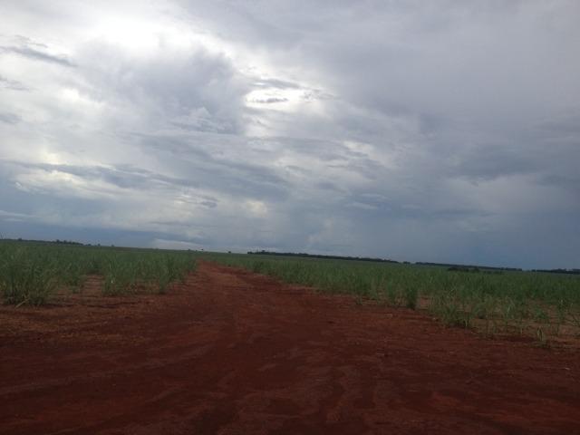 Fazenda 3.533 há - Foto 2