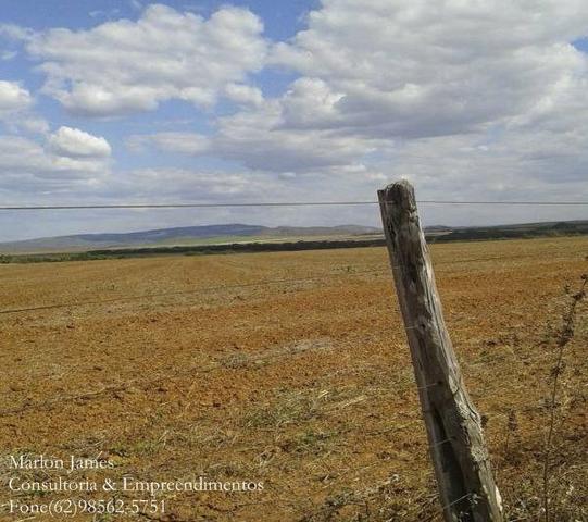 Fazenda em Dois Irmãos! - Foto 12