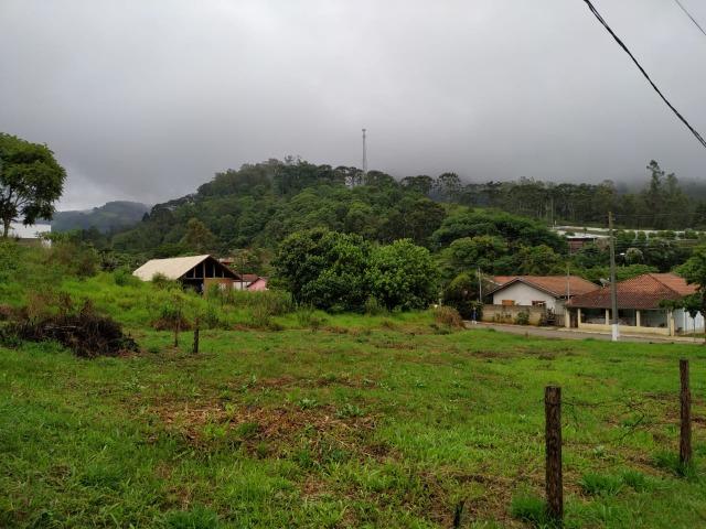 Vendo Terreno - Foto 7