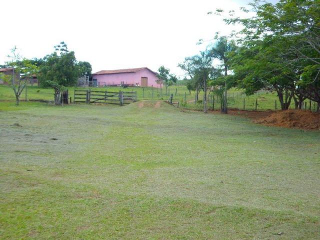 Fazenda de 12,68 alqueires maravilhosa em bela vista de goias - Foto 10