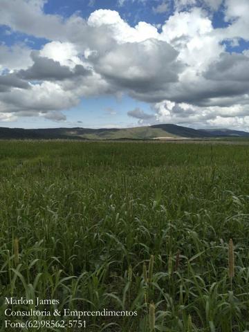 Fazenda em Dois Irmãos!