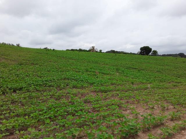 T-AR0032- Área à venda, 852.244 m² por R$ 35.500.000 - PR 423 - Campo Largo/PR - Foto 4