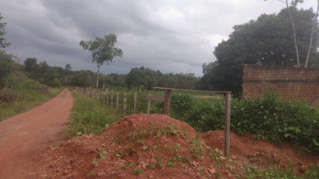 4,42 hectares em Benevides por 250 mil reais porteira fechada - Foto 2