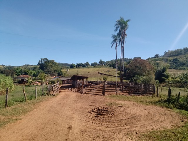 Sitio à venda, Rural, São Sebastião do Paraíso, MG - Foto 11