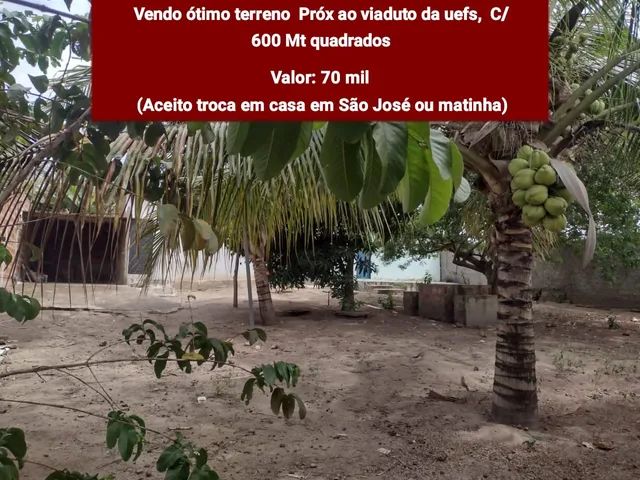 Captação de Terreno a venda na Rua São Jorge, Novo Horizonte, Feira de Santana, BA