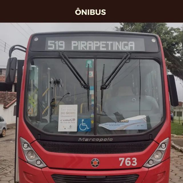 Aluguel de Granja - Pirapetinga/Torreões - Foto 14