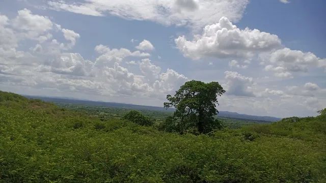 foto - Santo Estêvão - 