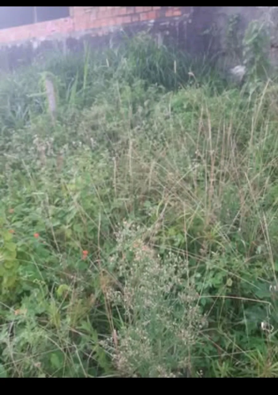 Terreno em cassange 