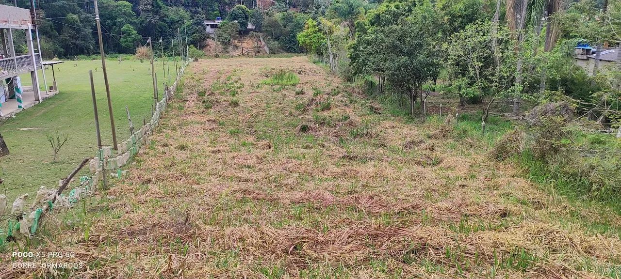Granja com nascente em Humaitá